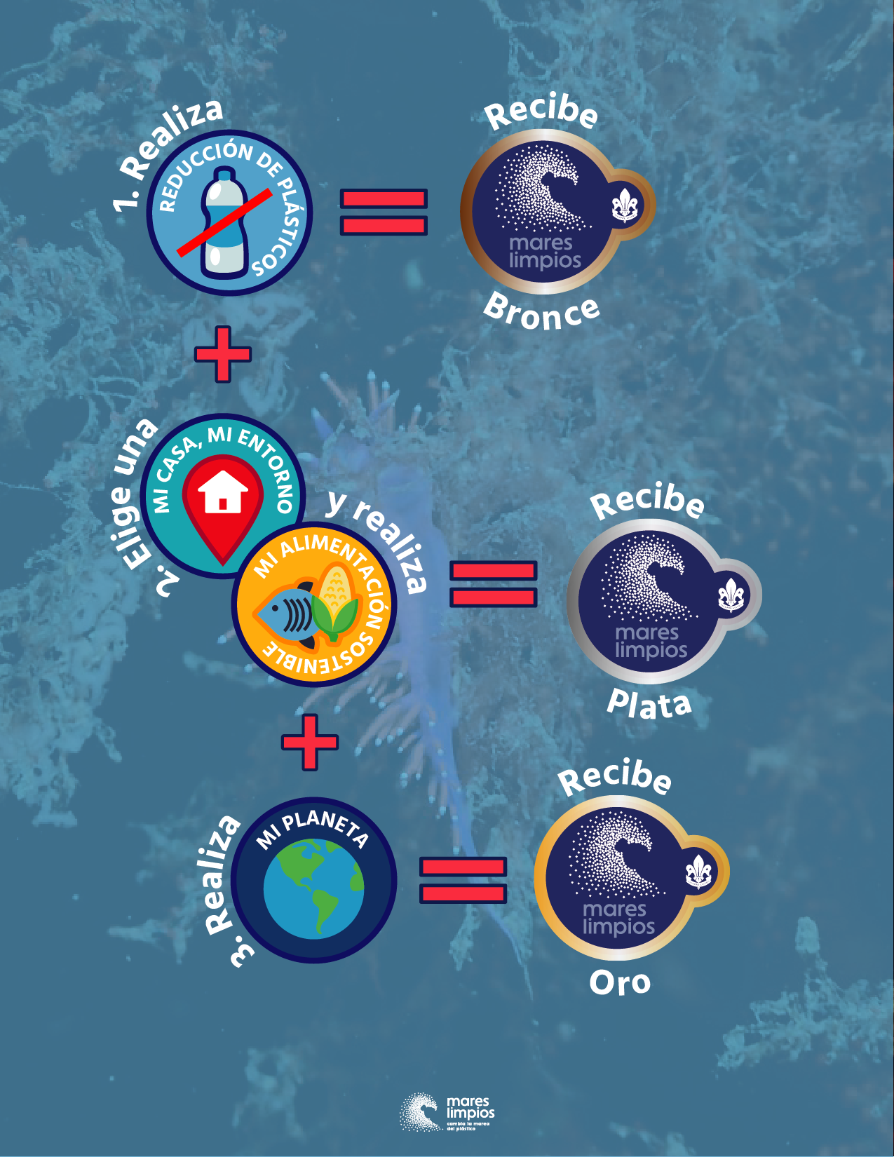Pasos para obtener Mares Limpios